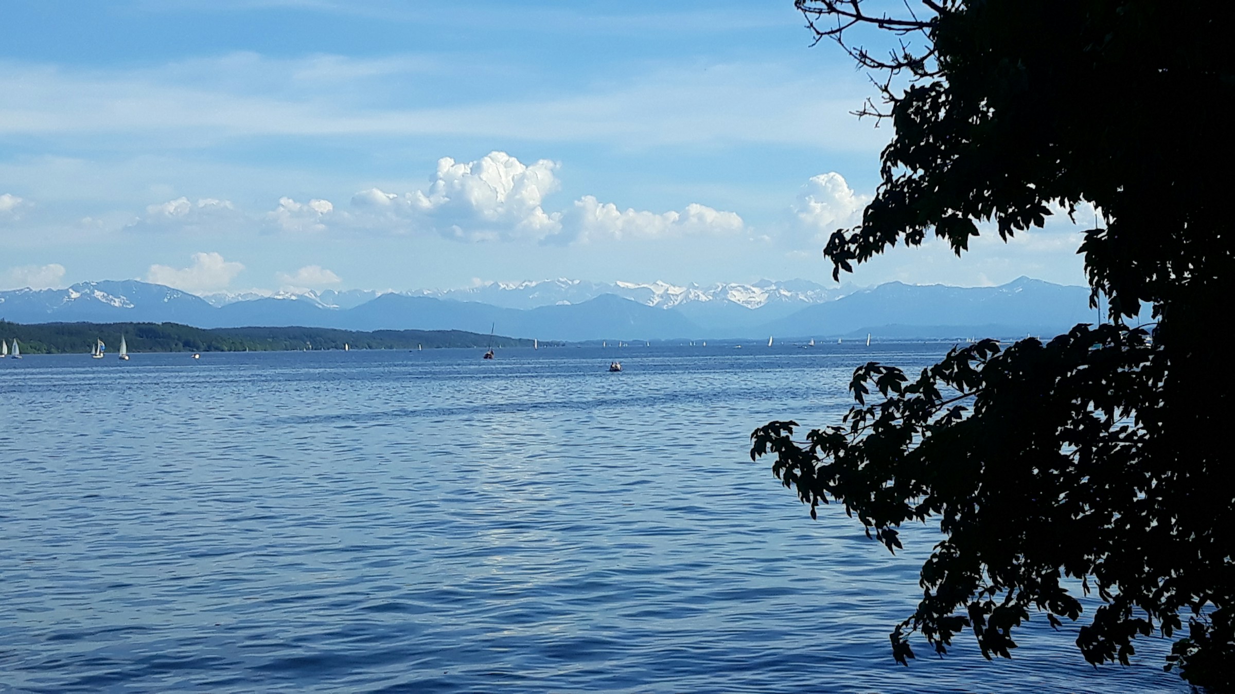 Bodensee mit Alpenpanorama