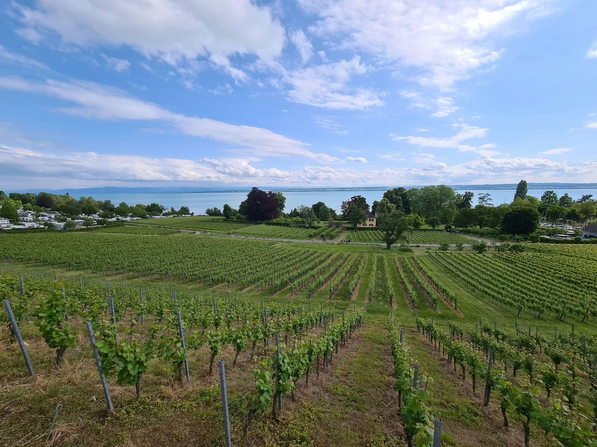 Der Bodensee-Radweg: Die schönste Radtour am See